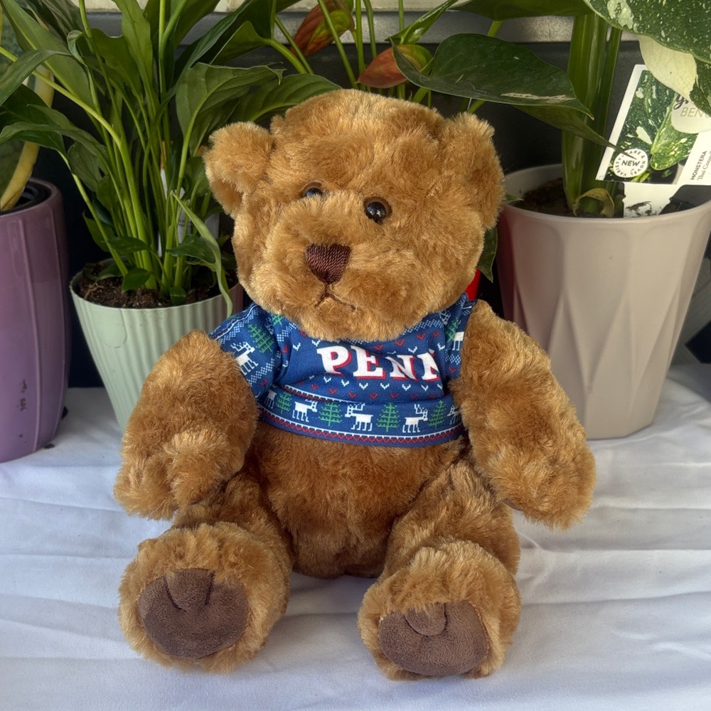 Brown Teddy Bear with Blue Sweater